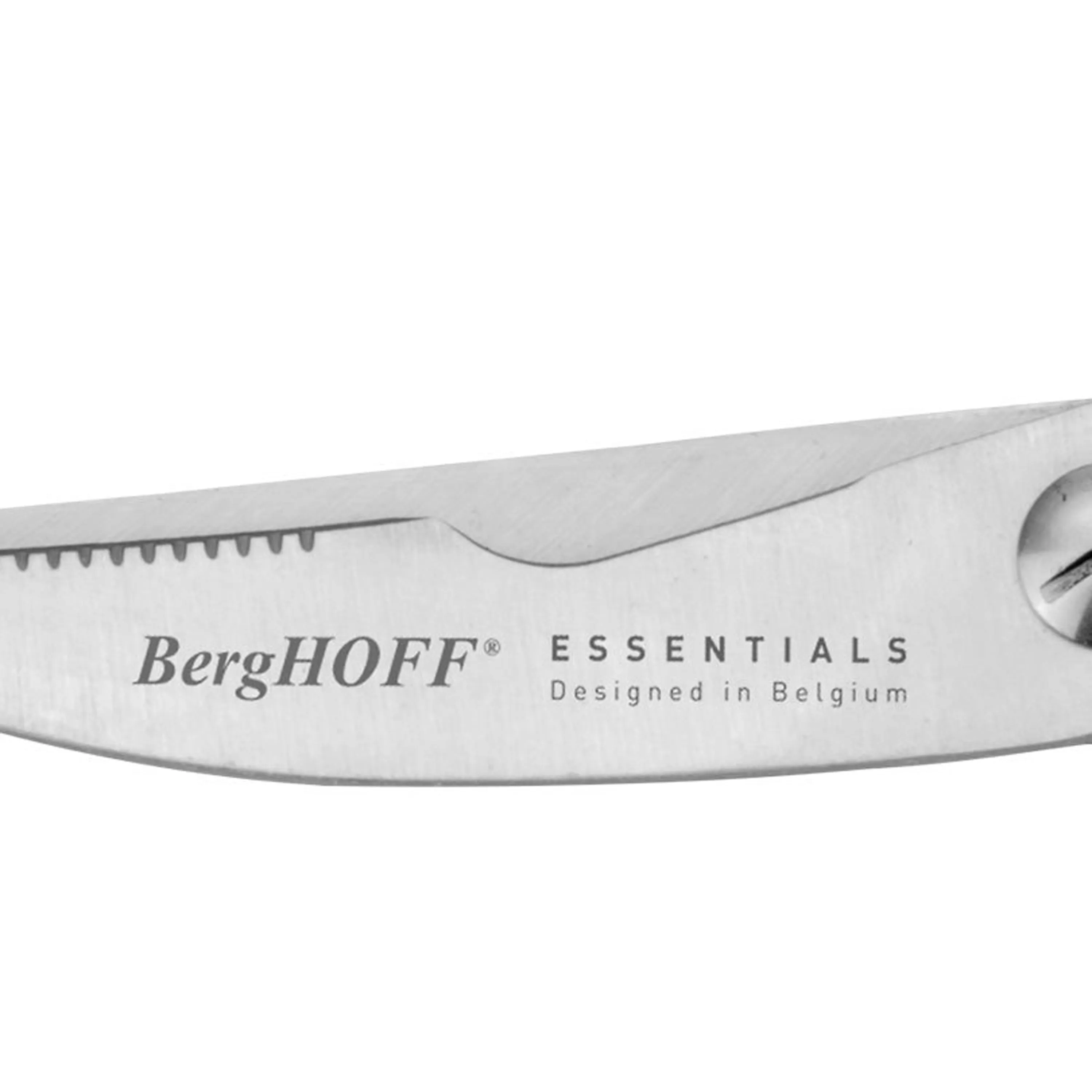 BergHOFF Essentials Stainless Steel 5Pc Cutlery Set