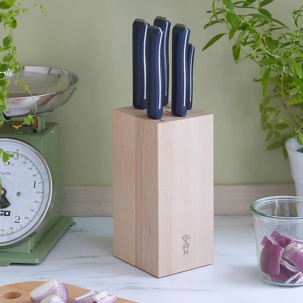 Intempora 5 Piece Chef Knife Set with Block