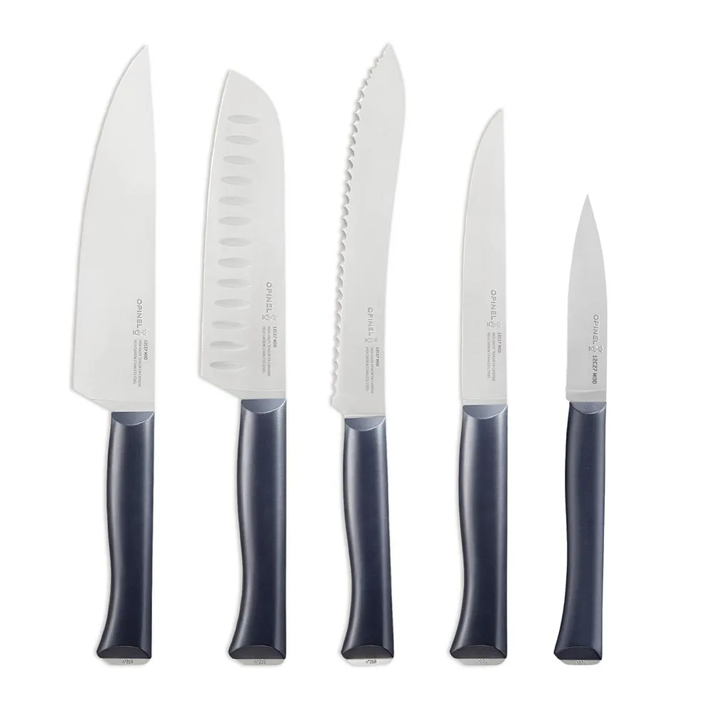 Intempora 5 Piece Chef Knife Set with Block